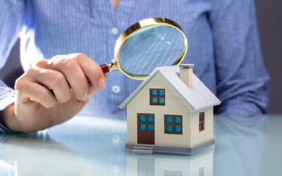 HOME INSPECTORS VS HOME SELLERS!